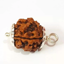 Chopra Gems Wood 4 Mukhi Rudraksha Brown