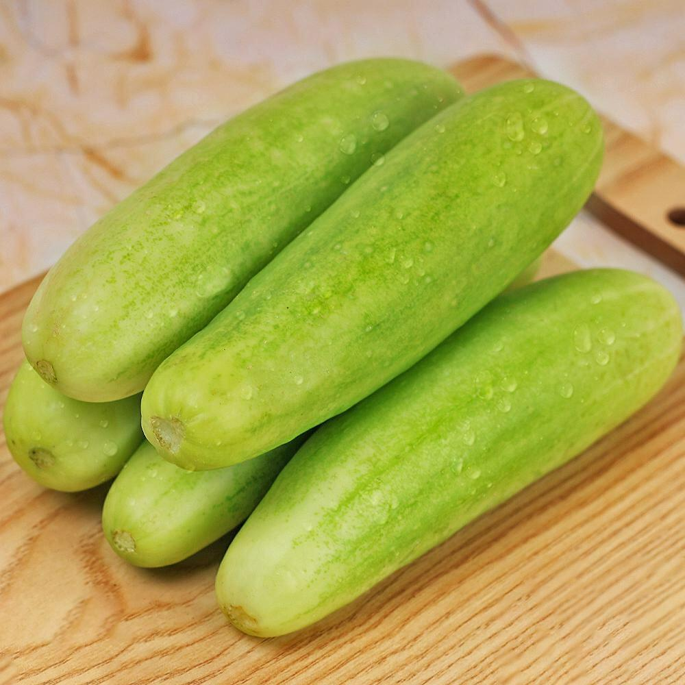 Cucumber Regular 500 g